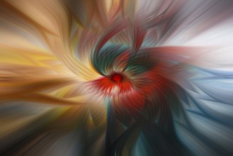 Abstract swirl in colorful color