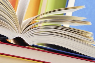 Composition with hardcover books in the library