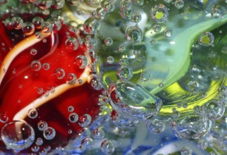 Carbonic acid (11)