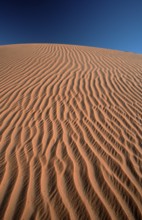 Sand Structures, Sahara, Erg Ubari, Lybia, sand structures, Libya, desert, landscapes, vertical