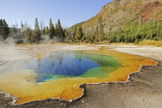 Hot spring 'Emerald Pool', Black Sand Basin, Yellowstone National Park, Wyoming, USA