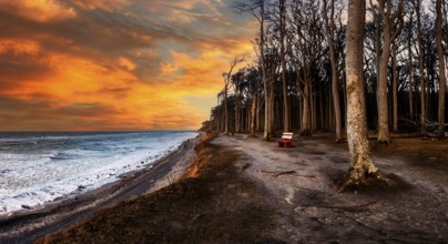 Panorama Steep Coast Baltic Sea Nienhagen