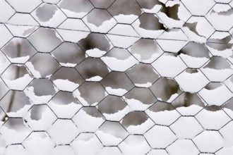 Fence with snow, North Rhine-Westphalia, Germany, wire fence, wire mesh fence