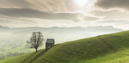 Idyllic and peaceful mountain landscape with a secluded wooden barn and lone tree on a grassy