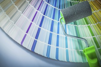 Colour palette for paint roller on white background