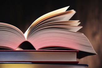 Composition with books on the table