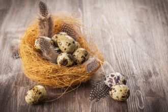 Easter eggs with nest on wooden background in vintage style