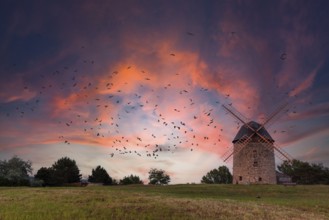 Devil's Mill Windmill Warnstedt Thale at sunset