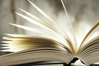 Composition with hardcover book on the table