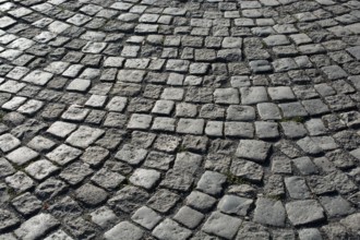 Cobblestone stone pavement background texture on the street
