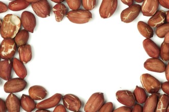 Raw shelled peanuts.Isolated border on white