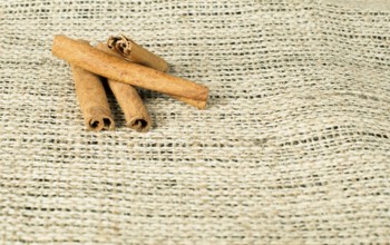 Cinnamon close up on wooden base. Copy space