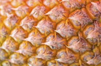 Detail rape pineapple close-up, for backgrounds or textures. shallow depth of field