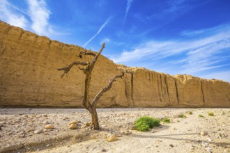 Stone desert near the seaside resort of Eilat. The route starts in the scenic Black Canyon.