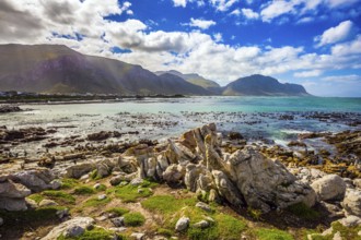 The azure water, boulders and algae of the Atlantic. Surroundings of Cape Town. Boulders Penguin