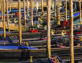 Magical journey to Venice. Gorgeous varnished gondolas offer a getaway on the Grande Canal. Bright