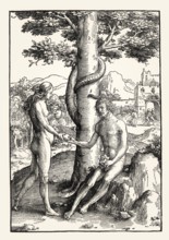 Lucas von Leyden, The Fall from Grace, Der Sündenfall, 16th century, by Lucas van Leyrlen,