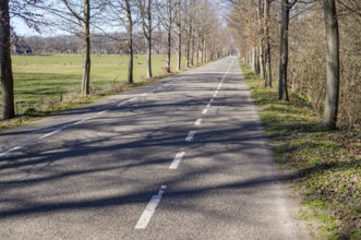 Paved road with dashed white lines passing between rows of trees and green fields in early spring