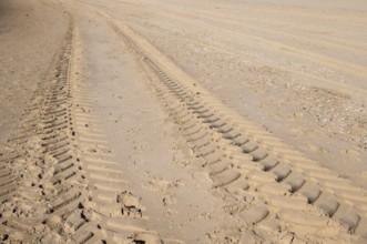 Parallel tire tracks crossing a sandy beach on a sunny day