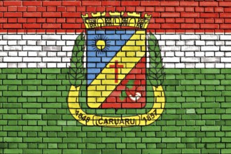 Flag of Caruaru painted on brick wall