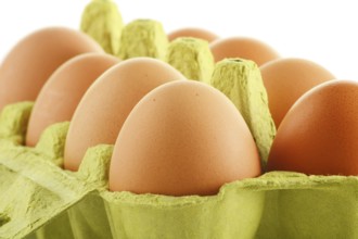 Chicken eggs on kitchen table