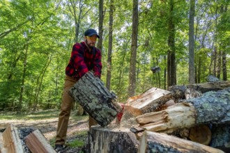 A robust young man wields an axe, skillfully cutting wood on his property. He clears the land while