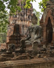 A picture of a Buddha statue at the Wat Mahathat Temple