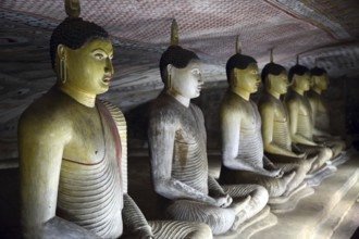 Buddha statues in Dambulla Cave Temple, Sril Lanka