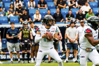 European League of Football, ELF/ Game:  Munich Ravens at Stuttgart Surge  on 26.May.  2024 ,in the