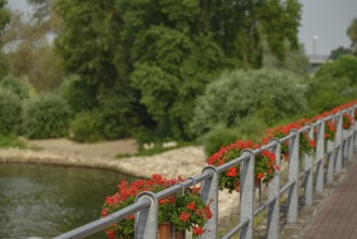 Quiet waterway with flowering railings and surrounded by lush greenery, rees, germany