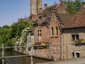 Building on a canal with a bridge and lush flowers and vegetation in the foreground, Bruges,