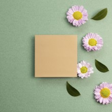 Blank memo pad with pink small flowered chrysanthemum on green background. flat lay, top view, copy