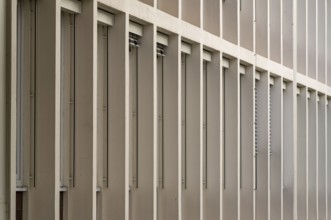 Long rows of windows of an office building from the 1960s