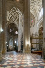 Segovia, Spain, 7 April, 2024: vertical view of the side nave of the Segovia Cathedral