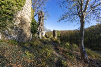 Stecklenburg castle ruins, Harz district