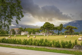 Beautiful old historical centre with ruins. Evening sunshine and the Temple of Athena in Paestum,