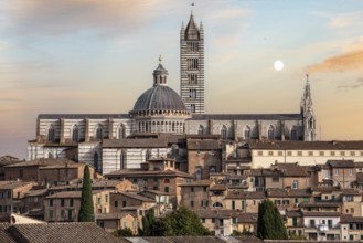 Panoramic view of the historic city of Siena and its cathedral, Italy