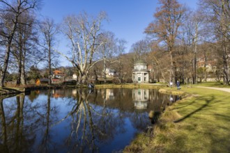 Spring in the English garden in Pillnitz Palace Park, Dresden, Saxony, Germany
