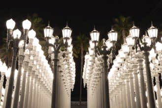 A picture of Urban Light, a public art designed by Chris Burden and unveiled in 2008, next to the