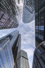 Look up in the morning in the middle of the skyline. Tower blocks and modern glass fronts at