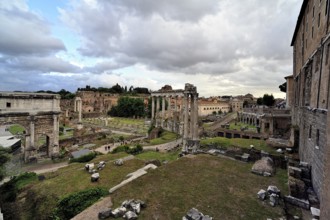 A picture of the amazing roman forum