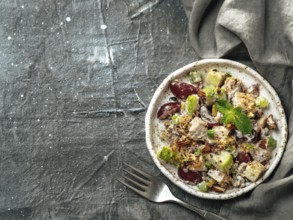 Waldorf salad with copy space. American fruit and nut salad with apples, celery, grapes, chicken