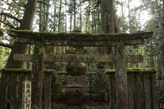 Okunoin cemetery at Mount Koya and Koya-san in Wakayama, Japan. World Heritage Site, Koya-san,