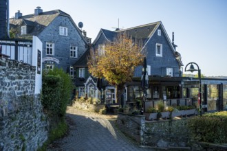 Picturesque half-timbered houses with autumn trees along a cobbled street, Burg Castle in the