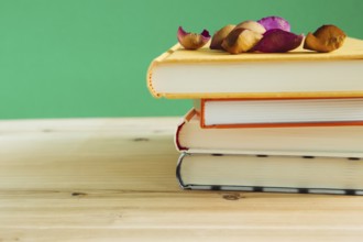 Books with dry rose petal on a wooden desk