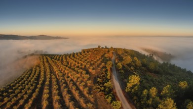 Capela de Nossa Sra. das Neves, hilltop chapel in mist at sunrise
