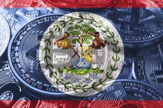 Belize bitcoin flag, national flag cryptocurrency concept black background