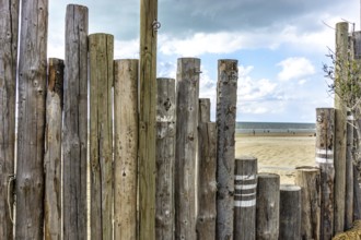 Wooden decorative fence at the seaside with seaview and sandy beach in Holland. Wooden decorative