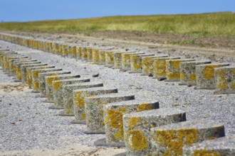 North Sea coast at Pilsum lighthouse
