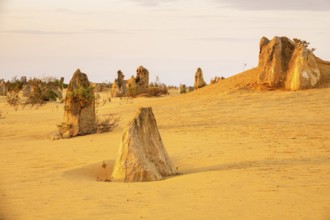 An image of the beautiful Pinnacles Desert in western Australia
